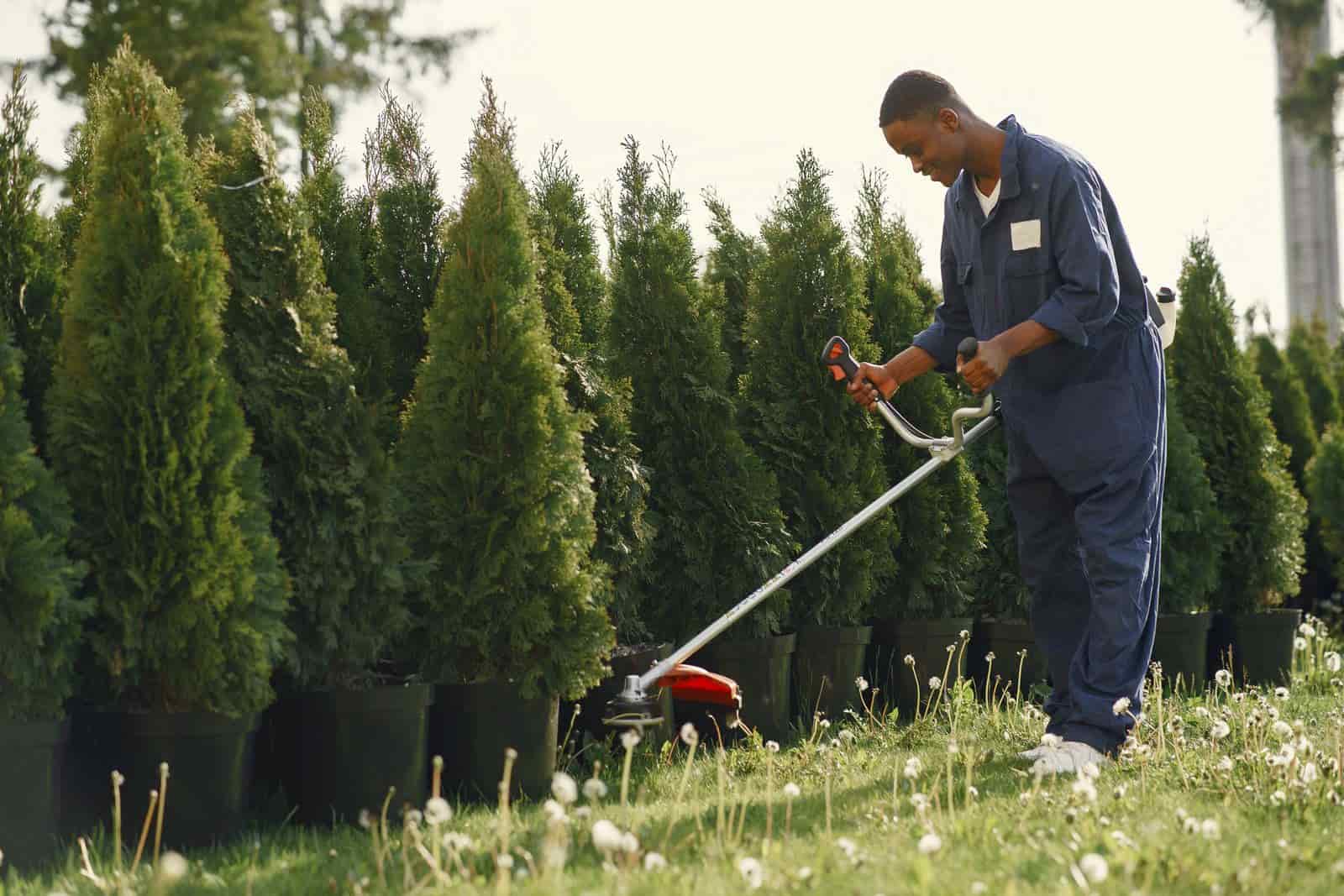 marketing for landscapers in Charlotte, North Carolina
